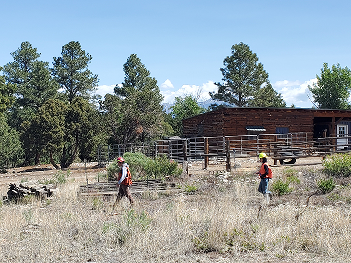 Gov. Polis, Colorado State Forest Service announce $8.5 million in wildfire mitigation grants